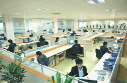 COMPANY ENVIRONMENT